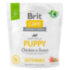 Brit Care SUSTAINABLE для Цуценят PUPPY (Курка та комахи) Brit Care SUSTAINABLE для Цуценят PUPPY (Курка та комахи)